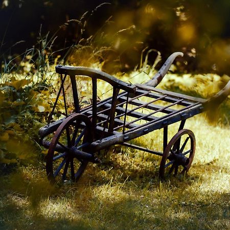 Le Chateau De Sorgues Cornus エクステリア 写真