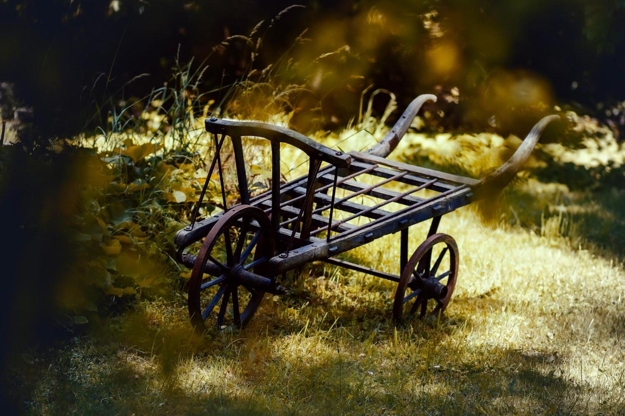 Le Chateau De Sorgues Cornus エクステリア 写真